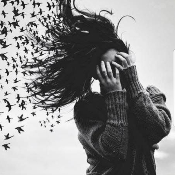 Meet your Posher, Jenn - Picture 1 of 1